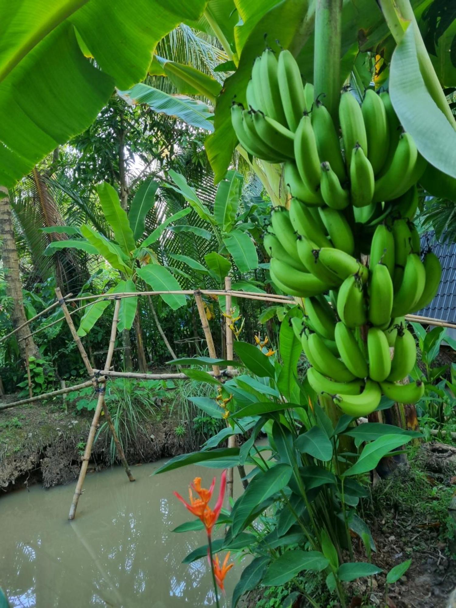 Homestay Nam Hàm Luông Ben Tre Exterior foto